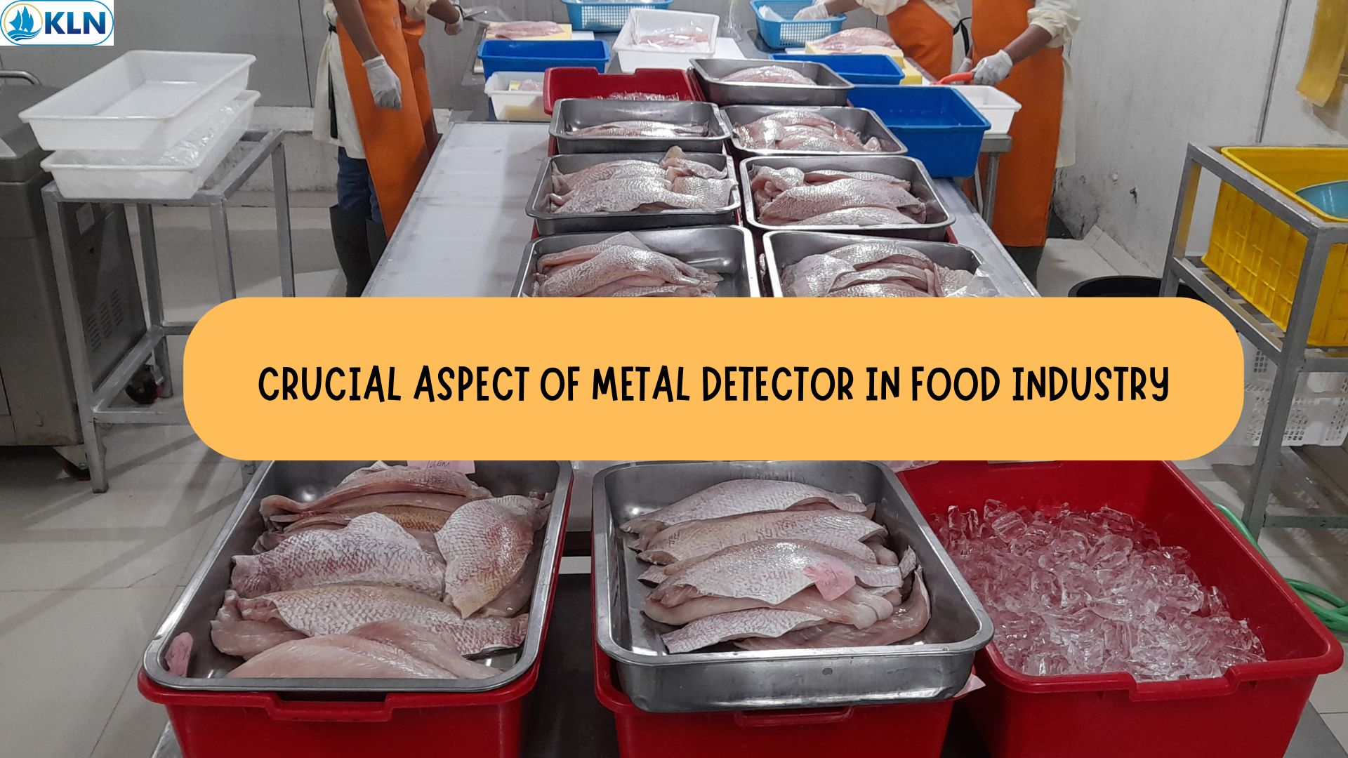 CRUCIAL ASPECT OF METAL DETECTOR IN FOOD INDUSTRY